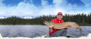 Banner_01